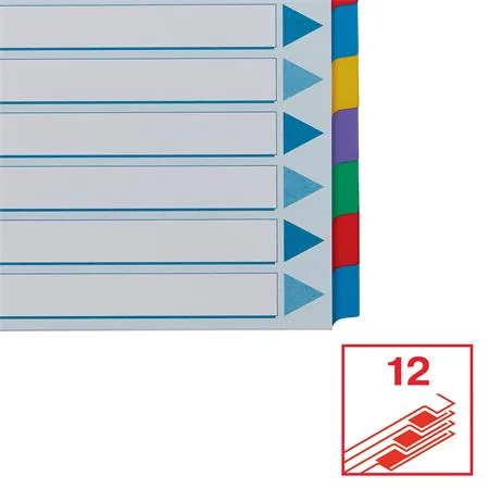 Register, laminovaný kartón, A4, 12 részes, ESSELTE "Mylar", farebný 5
