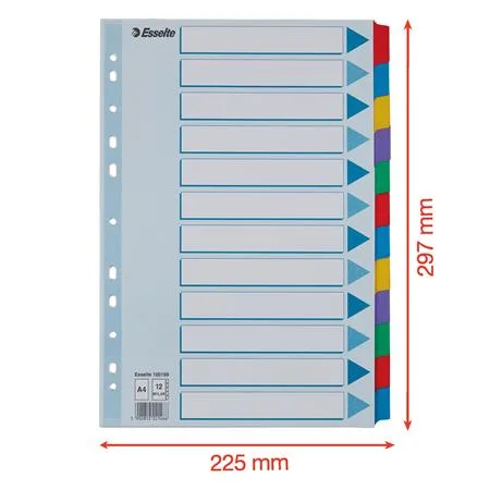 Register, laminovaný kartón, A4, 12 részes, ESSELTE "Mylar", farebný 6