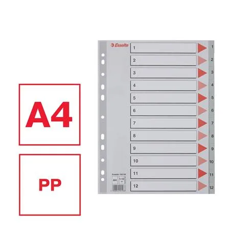 Register, plastový, A4, 1-12, ESSELTE, sivý 2