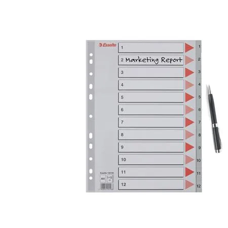 Register, plastový, A4, 1-12, ESSELTE, sivý 4