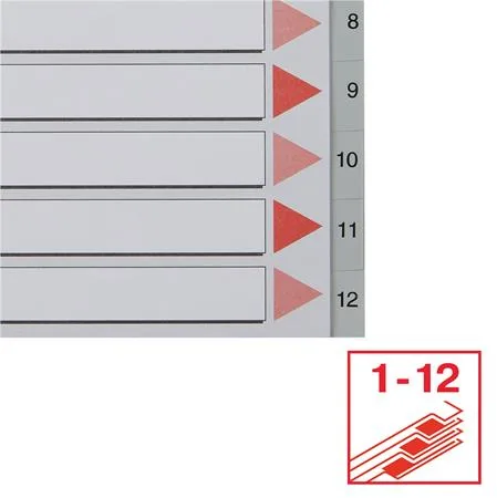 Register, plastový, A4, 1-12, ESSELTE, sivý 5