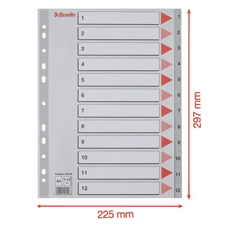 Register, plastový, A4, 1-12, ESSELTE, sivý 6