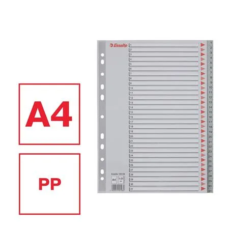 Register, plastový, A4, 1-31, ESSELTE, sivý 2
