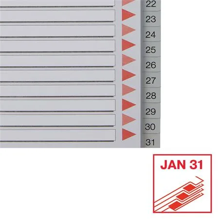 Register, plastový, A4, 1-31, ESSELTE, sivý 5