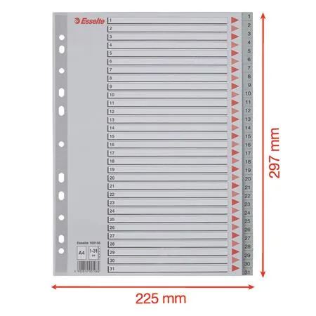 Register, plastový, A4, 1-31, ESSELTE, sivý 6