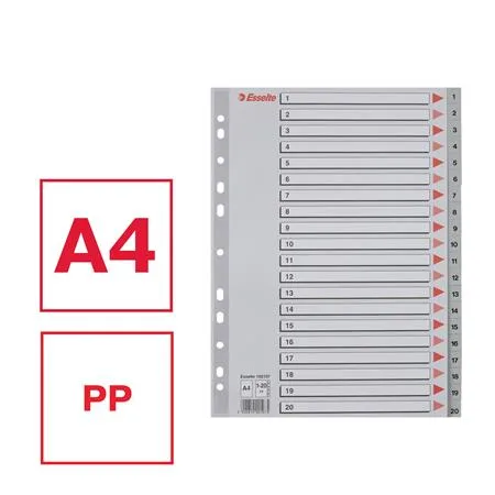 Register, plastový, A4, 1-20, ESSELTE, sivý 2