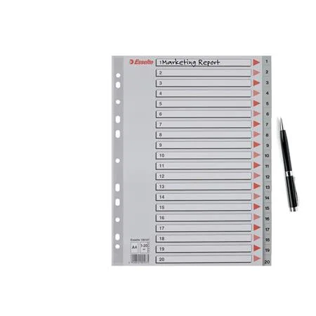 Register, plastový, A4, 1-20, ESSELTE, sivý 4
