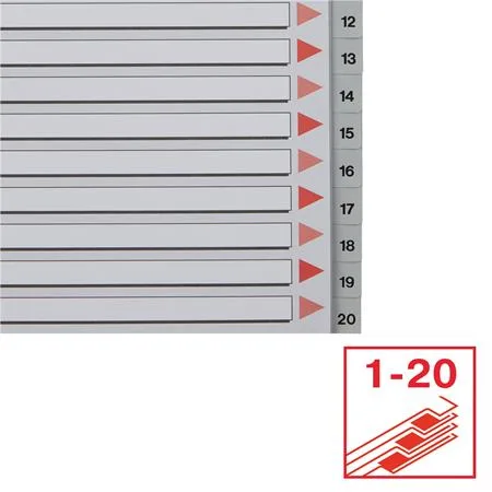 Register, plastový, A4, 1-20, ESSELTE, sivý 5