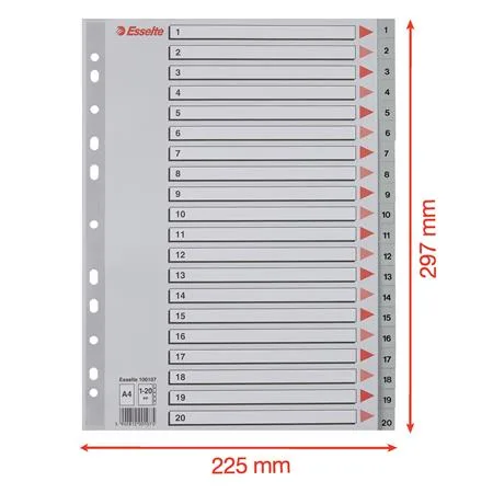 Register, plastový, A4, 1-20, ESSELTE, sivý 6