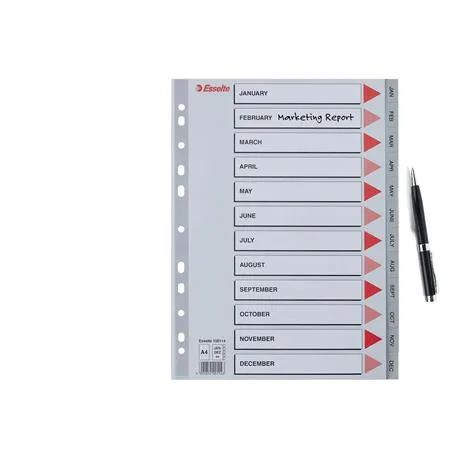 Register, plastový, A4, Jan-Dec, ESSELTE, sivý 4
