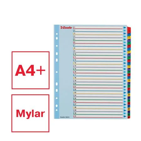 Register, laminovaný kartón, A4 Maxi, 1-31, prepisovateľný, ESSELTE 2