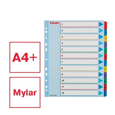 Register, laminovaný kartón, A4 Maxi, 1-12, prepisovateľný, ESSELTE 2