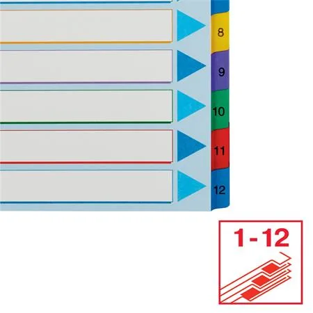 Register, laminovaný kartón, A4 Maxi, 1-12, prepisovateľný, ESSELTE 5