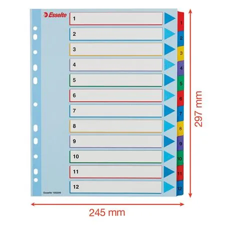 Register, laminovaný kartón, A4 Maxi, 1-12, prepisovateľný, ESSELTE 6