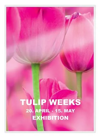 Laminovacia fólia, 125 mikr., A5, lesklá, UDT technológia, LEITZ "iLam" 3