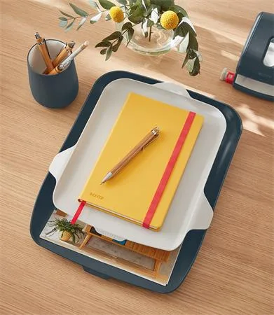 Záznamová kniha, A5, linajková, 80 listov, tvrdá obálka, LEITZ "Cosy Soft Touch", teplá žltá 7