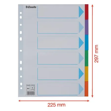 Register, kartónový, A4, 6 dielny, popisovateľná predná strana, ESSELTE "Standard", farebný 6
