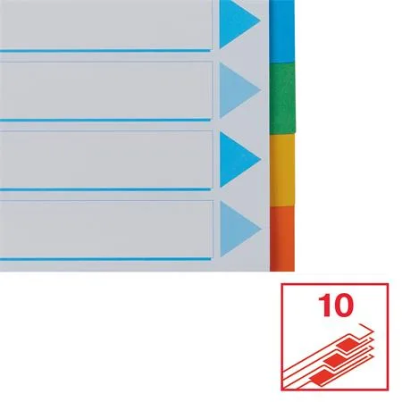 Register, kartónový, A4, 10 dielny, popisovateľná predná strana, ESSELTE "Standard", farebný 5