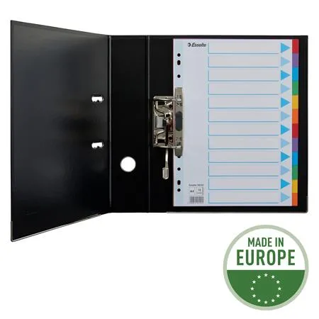 Register, kartón, A4, 12 dielny, popisovateľná predná strana, ESSELTE "Standard", farebný 3