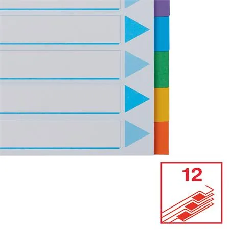 Register, kartón, A4, 12 dielny, popisovateľná predná strana, ESSELTE "Standard", farebný 5