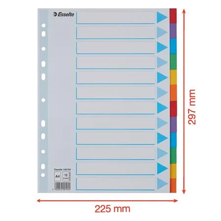 Register, kartón, A4, 12 dielny, popisovateľná predná strana, ESSELTE "Standard", farebný 6