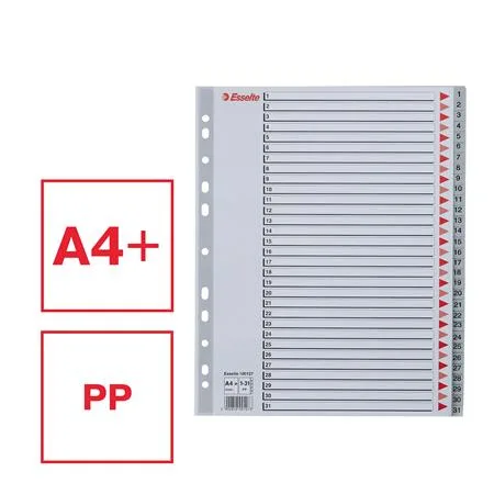 Register, plastový, A4 Maxi, 1-31, ESSELTE, sivý 2