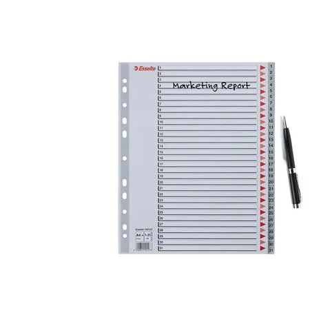 Register, plastový, A4 Maxi, 1-31, ESSELTE, sivý 4