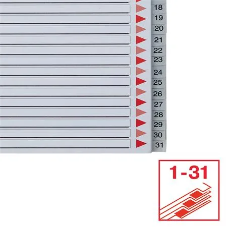 Register, plastový, A4 Maxi, 1-31, ESSELTE, sivý 5