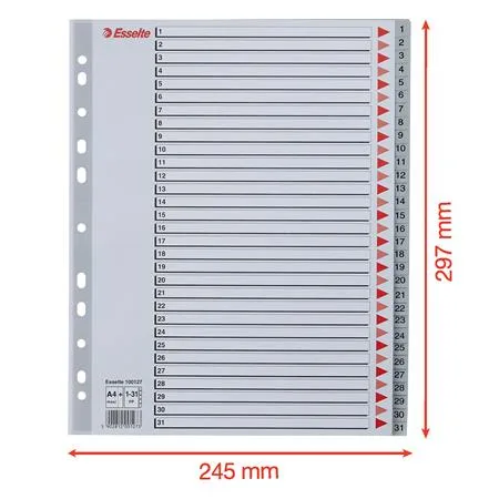 Register, plastový, A4 Maxi, 1-31, ESSELTE, sivý 6