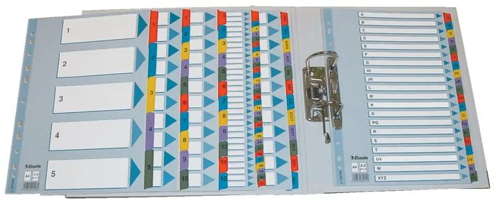 Register, kartón, A4, 1-10, ESSELTE "Mylar" 7
