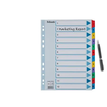 Register, kartón, A4, 1-12, ESSELTE "Mylar" 4