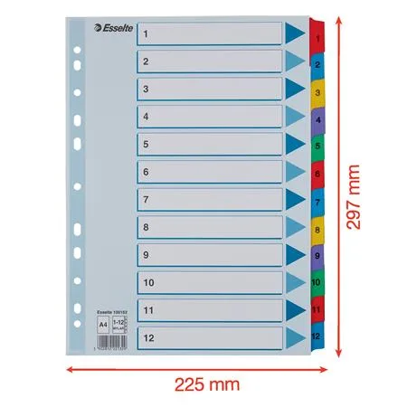 Register, kartón, A4, 1-12, ESSELTE "Mylar" 6