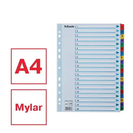 Register, kartón, A4, 1-20, ESSELTE "Mylar" 2