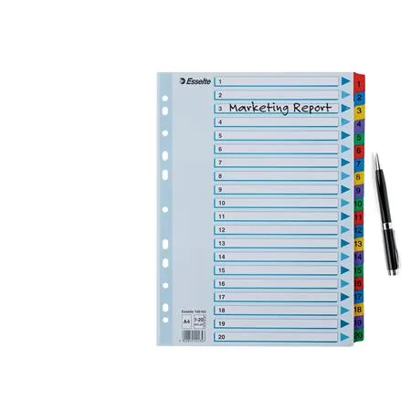 Register, kartón, A4, 1-20, ESSELTE "Mylar" 4