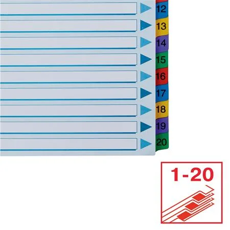 Register, kartón, A4, 1-20, ESSELTE "Mylar" 5