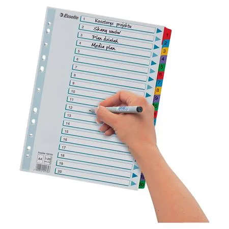 Register, kartón, A4, 1-20, ESSELTE "Mylar" 6