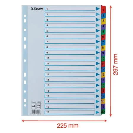 Register, kartón, A4, 1-20, ESSELTE "Mylar" 7