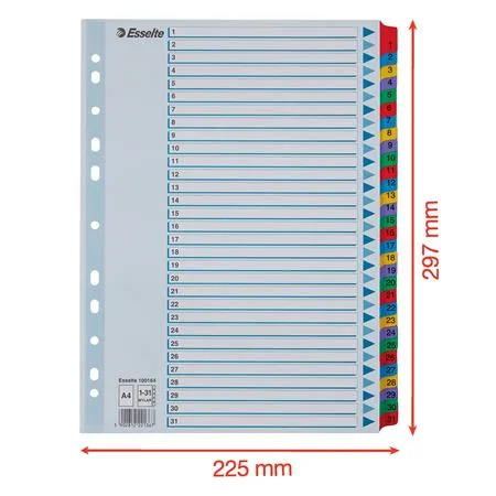 Register, kartón, A4, 1-31, ESSELTE "Mylar" 6