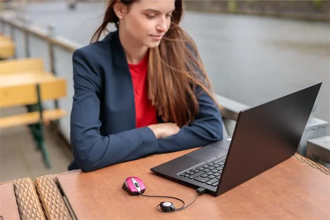Optická myš "Go Mini", k notebookom, strieborná-ružová 5