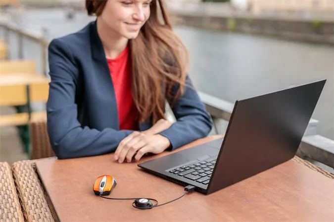 Optická myš "Go Mini", k notebookom, strieborná-hnedá 5