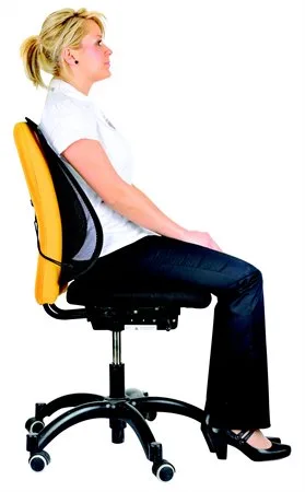 Chrbtová opierka, FELLOWES "Professional Series™ Mesh" 2