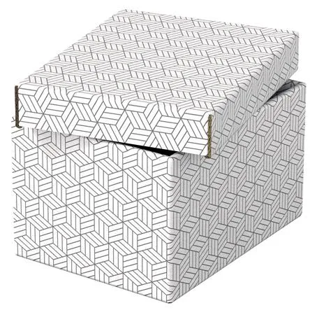 Úložný box, veľ. S, ESSELTE "Home", biely 2