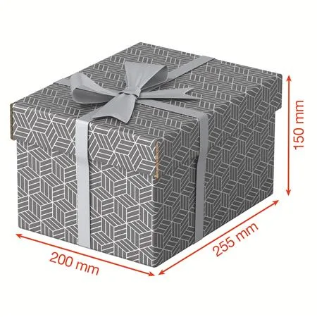 Úložný box, veľ. S, ESSELTE "Home", sivý 4