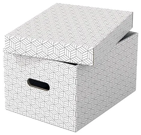 Úložný box, veľ. M, ESSELTE "Home", biely 2
