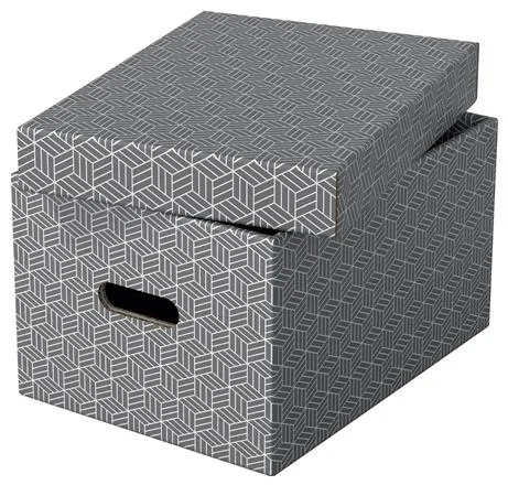 Úložný box, veľ. M, ESSELTE "Home", sivý 2