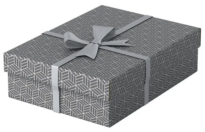 Úložný a darčekový box, ESSELTE "Home", sivý 3