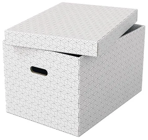 Úložný box, veľ. L, ESSELTE "Home", biely 2