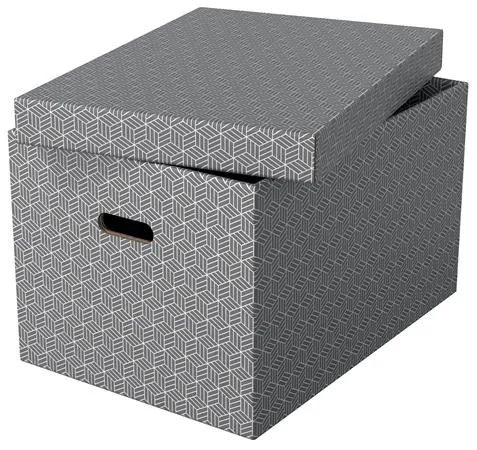 Úložný box, veľ. L, ESSELTE "Home", sivý 2