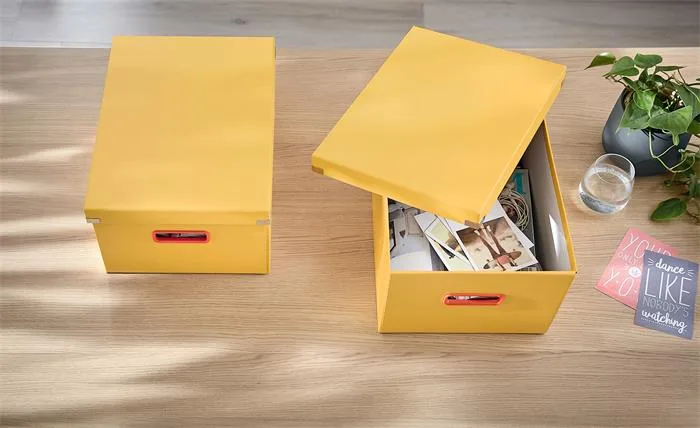 Škatuľa, veľkosť M, LEITZ "Cosy Click&Store", teplá žltá 2