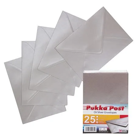 Obálka, C6, silikónová, PUKKA PAD "Silver", strieborná 2